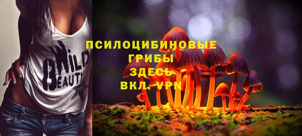 ешки Баксан