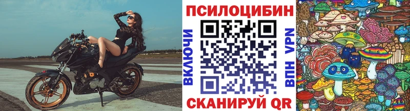 shop Telegram  Закаменск  Галлюциногенные грибы мицелий 